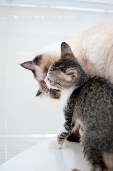 2911.jpgたぬさんとふみちん５