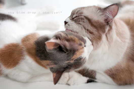 おっちゃんとおっちゃん