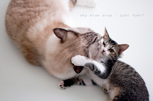 ジャイ太とふみちん