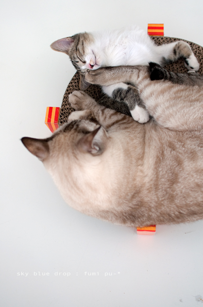 だんだん力入れる