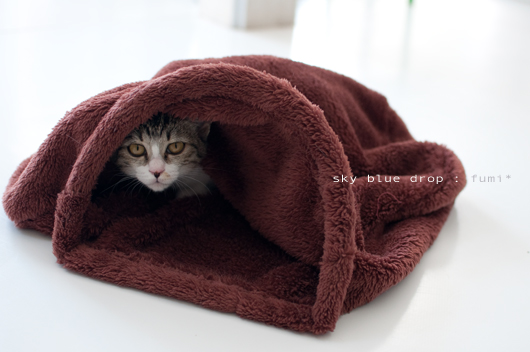 ふみふみふみちゃん２