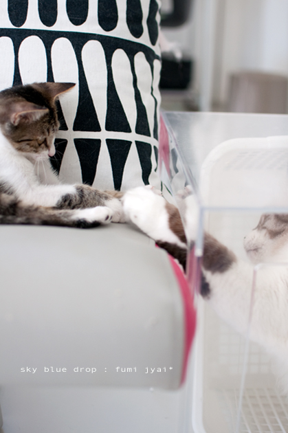 たのしくてしかたない