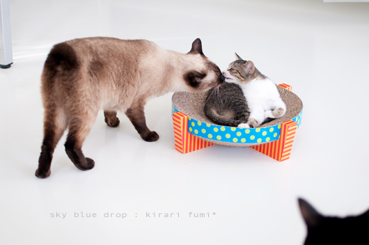 するとみせかけて・・