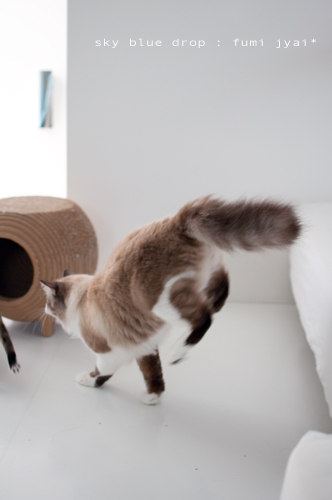 でっかいのんとちっこいのん３