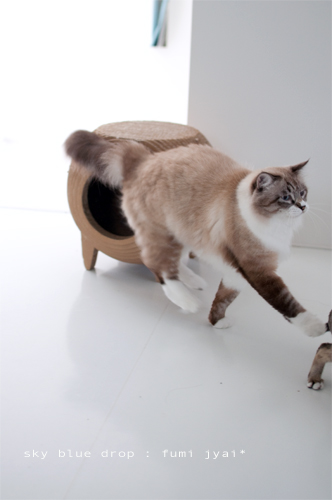 でっかいのんとちっこいのん４