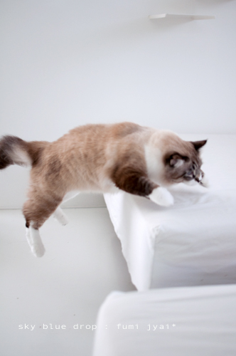 でっかいのんとちっこいのん５