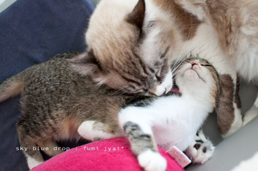 ふみちんとジャイ太