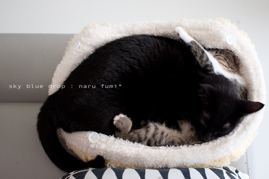 ふみちんとなるとさん