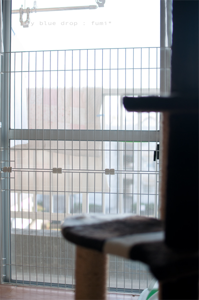 安全面もバッチリ