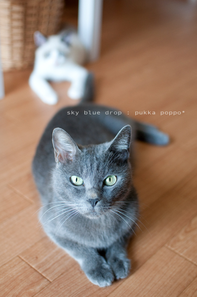 おっちゃん言うなー