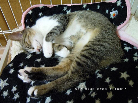 Σ(･ω･ﾉ)ﾉ！