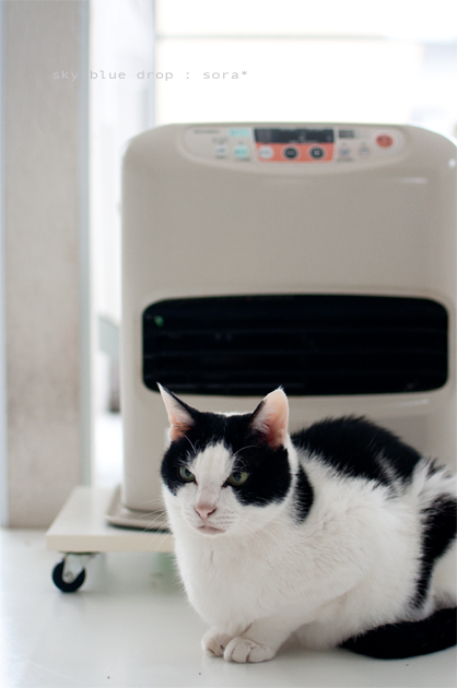 さむがりそらさん