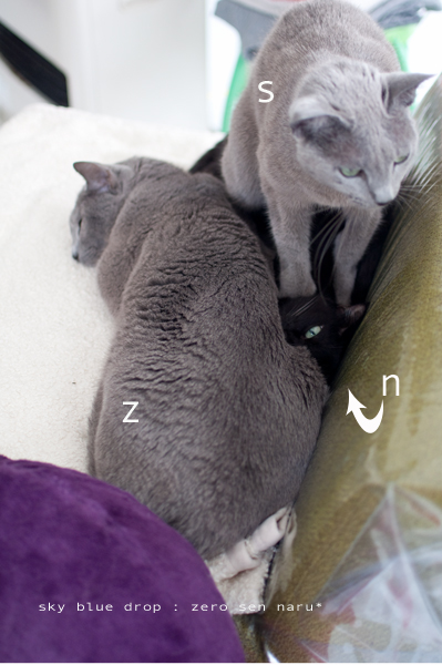 愛情ずっしりてんこ盛り