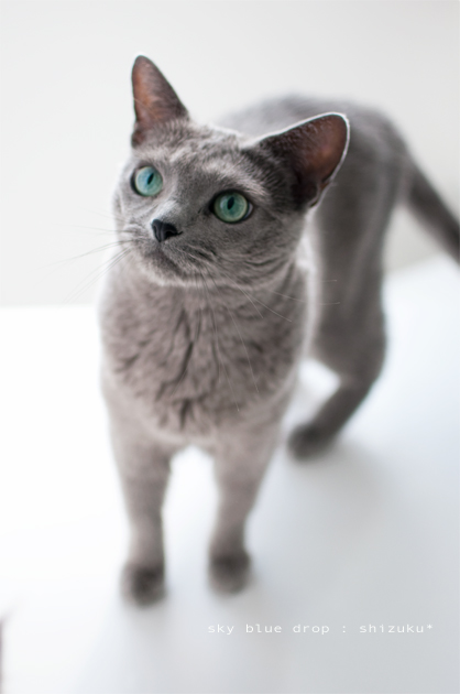 じぃーーーー!!