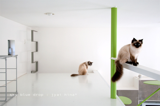 でーじょーぶ？