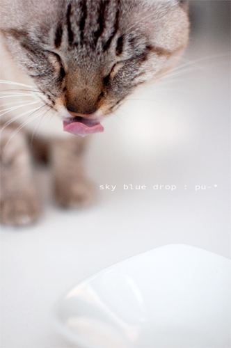 pu-ちんお薬を飲む4