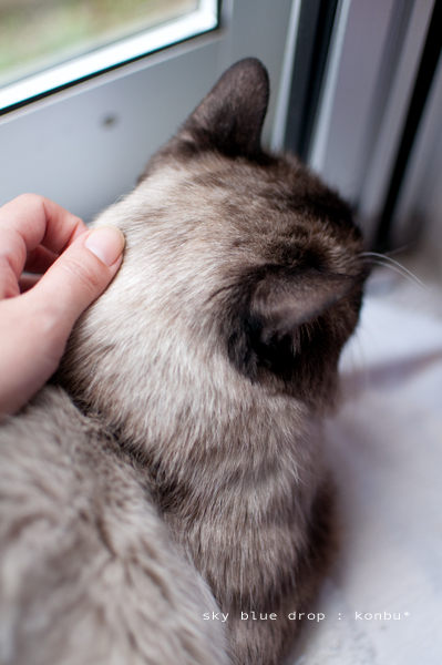 満タン入りました