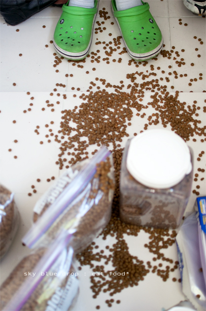 バラッとなっ♪