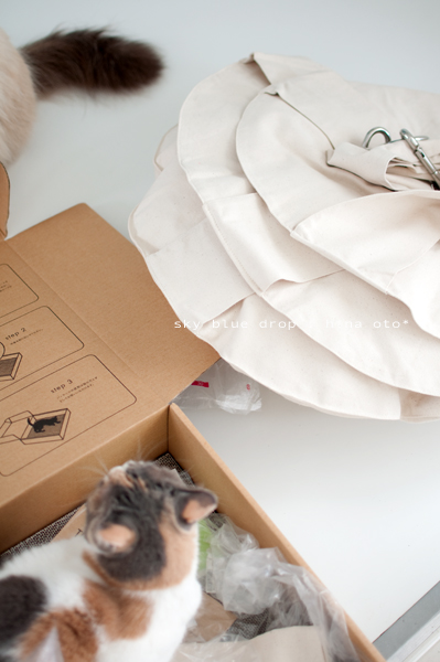 キャットトラピーズ2