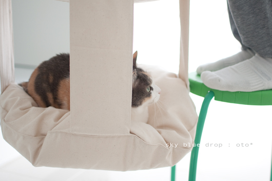 キャットトラピーズ5