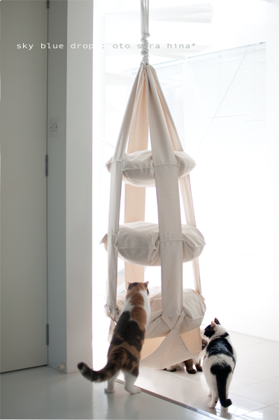 いけっか？？１