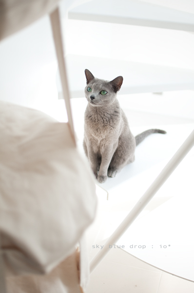 いけっか？？２