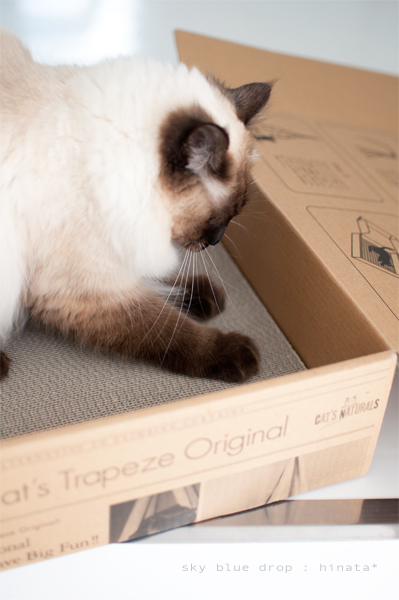 至れり尽くせり