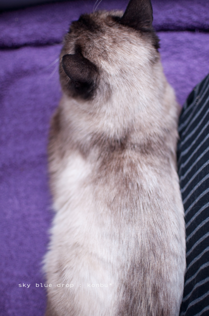 くっつくとあったけぇ