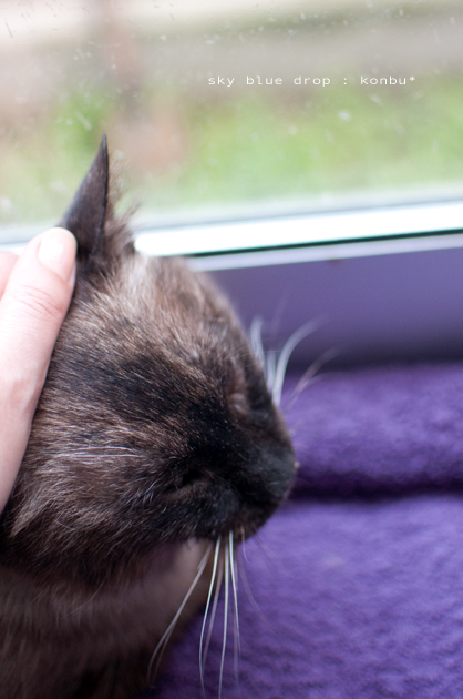 イイコイイコとびっきりのイイコ