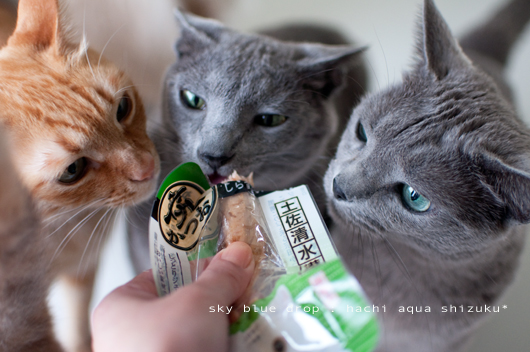 おいしいかお１