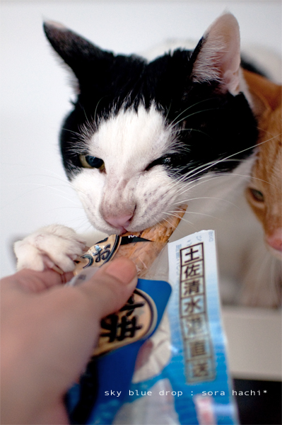 おいしいかお３