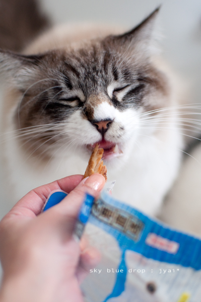 おいしいかお５