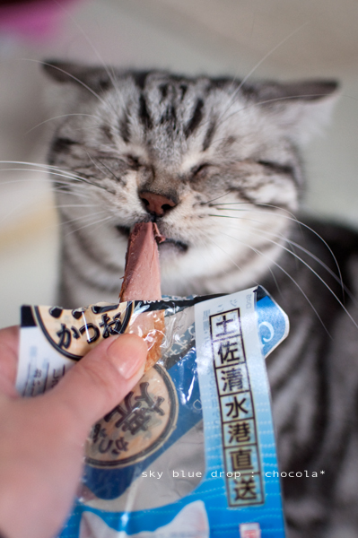 おいしいかお２