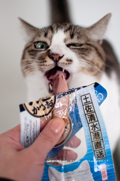 おいしいかお４