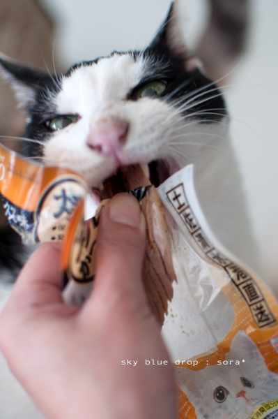 おいしいかお10