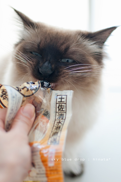 おいしいかお??