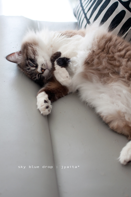 ナントカシロビーム☆