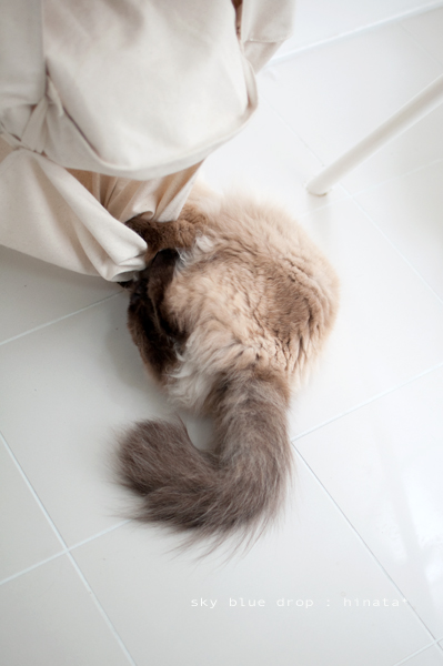 キックキックキーーック