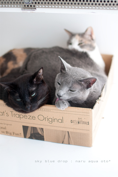 なるちんとあっくんとおっちゃん