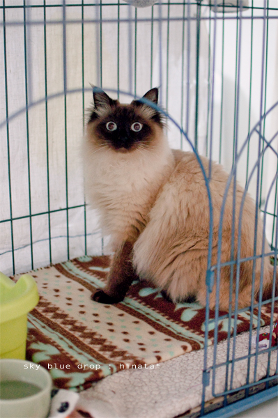 どさくさにまぎれて