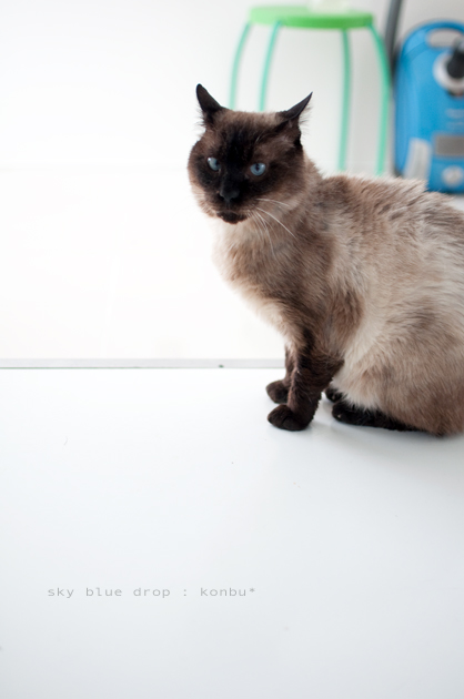 一体なんなの??