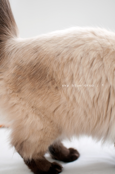 なんぢゃこりゃぁ