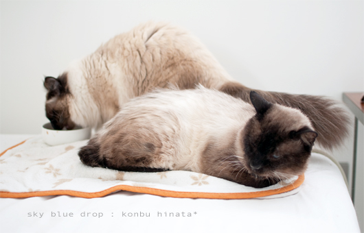 おいしゅうございます