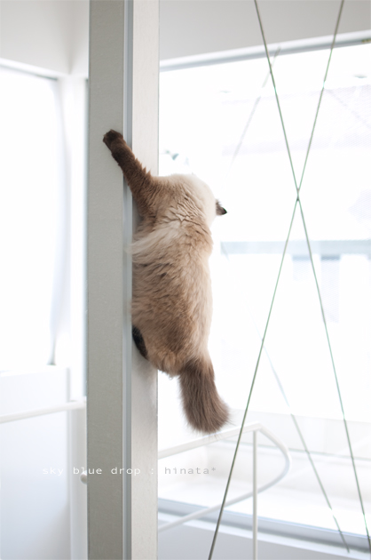 張り切りすぎ??