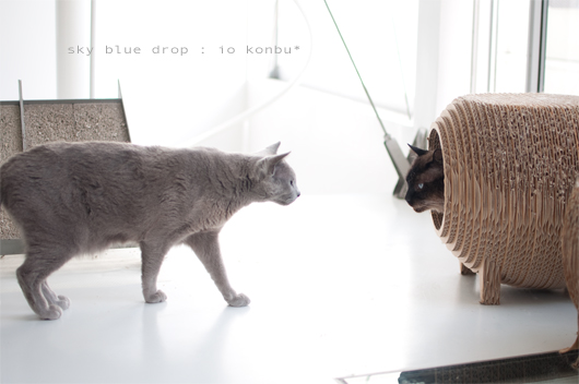 おらおらやるんかいっ!とは言ってません。