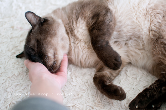 ぐいぐいごねごねらぶらぶ