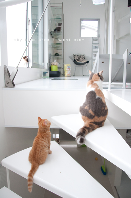 大事な大事なあの日のきみ