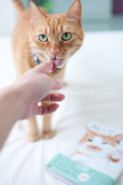 若干しかたなし？？