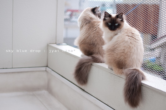 ウソかよっ！？