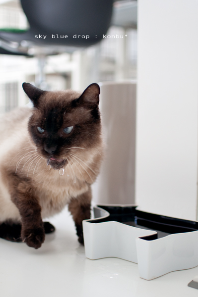 思いっきり垂れておーる